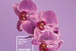 Colori primavera estate 2014 Pantone Radiant Orchid