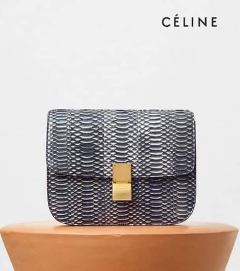 borse Celine 2017 clutch