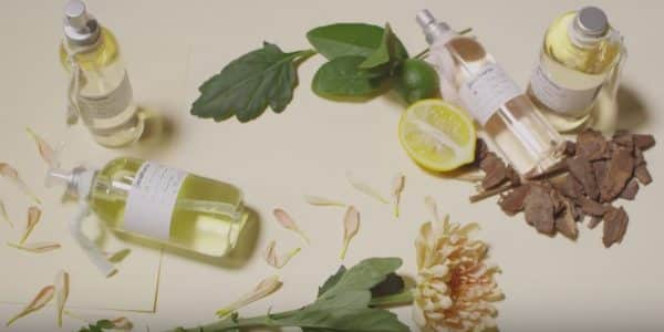stradivarius-beauty-fragrances